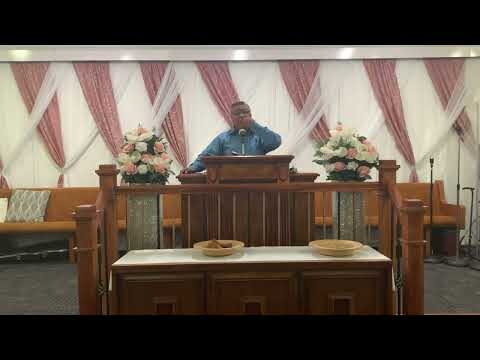 The Meaning of the Spirit of Stupor