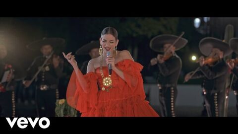 The Significance of 'Ya Se Hizo de Mulas, Pedro' Explained
